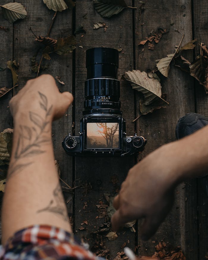 Services Hands setting up a vintage camera on wooden boards surrounded by autumn leaves.